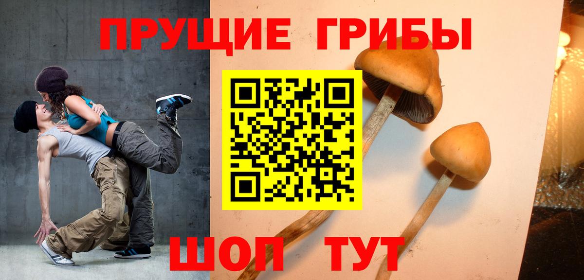 Лабинск  Галлюциногенные грибы прущие грибы  как найти закладки  Вход с VPN  Галлюциногенные грибы мухоморы 