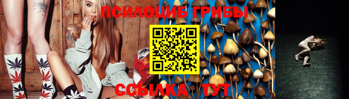 Галлюциногенные грибы Cubensis Лабинск